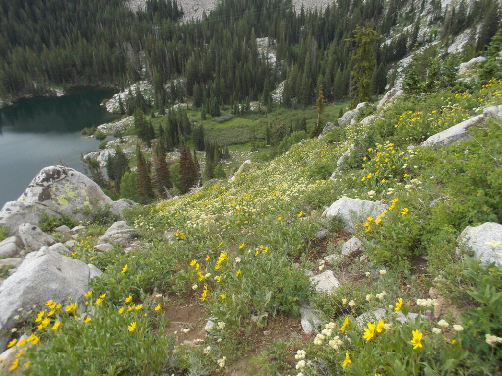 scenery1